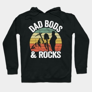 Dad Bods & Rocks Rock Collector Daddy Retro Funny Geologist Hoodie